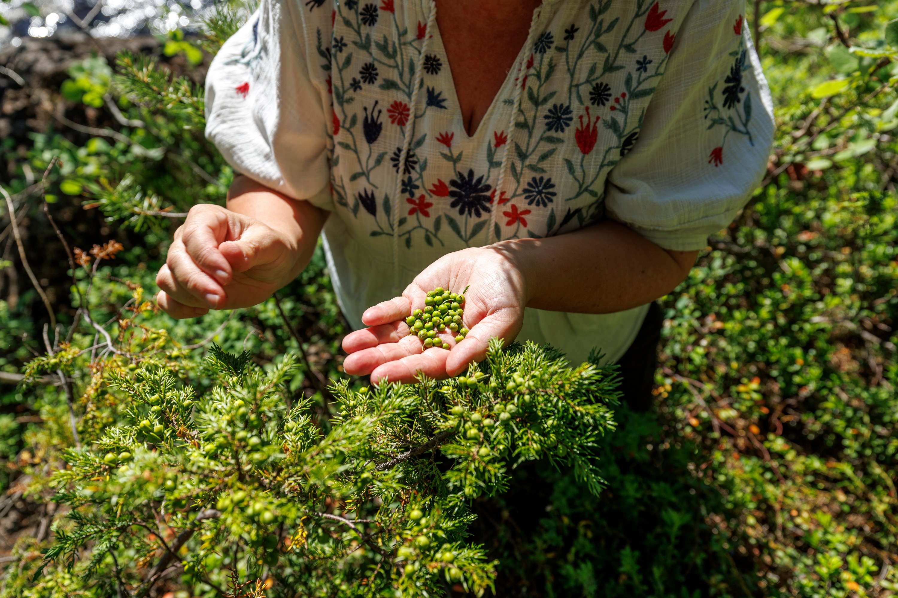 Om Arctic Botanic Garden